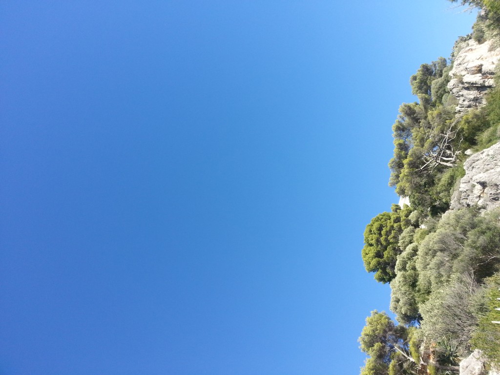 mediterraneo (1)