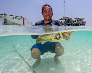 Palau -  Tubbataha - photo credit Tet Lara